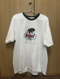 Item thumbnail for item 071e7e4a-e82f-41ee-909f-06c981bcdf89