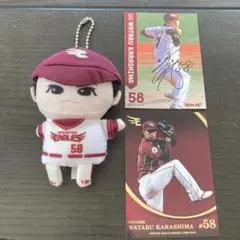 2026年最新】辛島航 直筆の人気アイテム - メルカリ