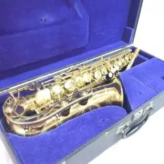 2026年最新】サックス nikkanの人気アイテム - メルカリ