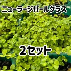 AYA様 リクエスト 3点 まとめ商品