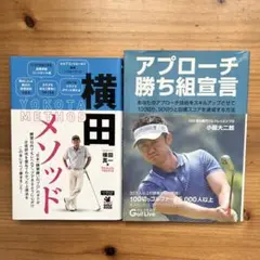 Item thumbnail for item bfcae650-2e11-42b5-983d-dc6af947abc4