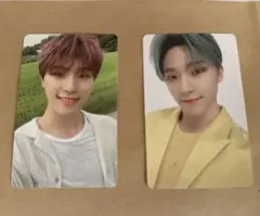 seventeen Social Club、シーグリ　ディノ　トレカセット