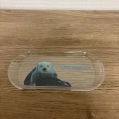 鳥羽水族館 ラッコ キラ マルチトレイのサムネイル