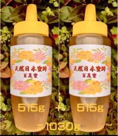 日本蜜蜂の蜂蜜　ニホンミツバチの蜂蜜　515g ×2個=1030g