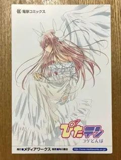 2026年最新】ぴたテン カードの人気アイテム - メルカリ