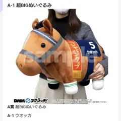 2025年最新】サラブレッドコレクション dmm a賞の人気アイテム - メルカリ