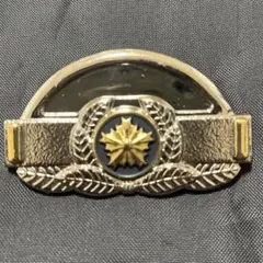 Item thumbnail for item 3ba4beb3-e284-407d-9c3a-d080a6320ea4