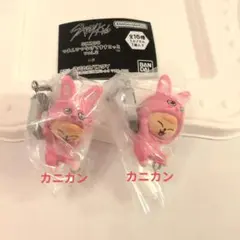 SKZOO つまんでつなげてますこっとvol.2 　パピーム 2点