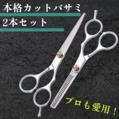 Item thumbnail for item 6cbd152f-4818-476b-b8af-587c91c21811