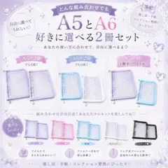 自由に選べるバインダー２冊セット♪どんな組み合わせでもOK◎A5 A6シール帳