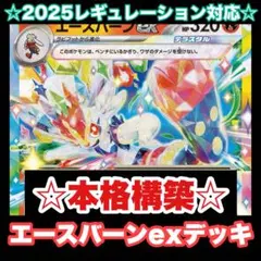 ☆本格構築☆エースバーンexデッキ【構築済みデッキ】