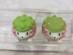 2026年最新】ポケモンキッズ クリアの人気アイテム - メルカリ