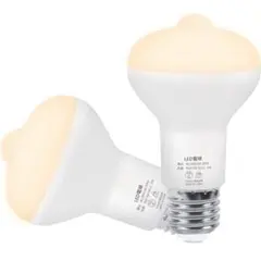 Item thumbnail for item e04ba43f-ea84-4799-aa3d-20dd6d551094