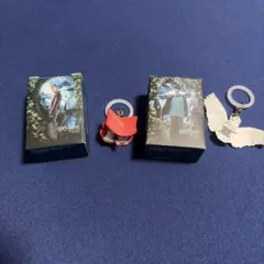 ハリーポッターめじるしアクセサリー　2種