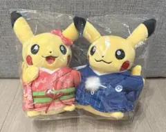 2025年最新】ポケモンセンター マンスリーペアピカチュウの人気