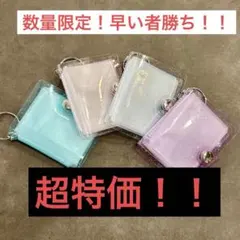 ▽【数量限定⭐︎早い者勝ち！】ミニ シール帳 4色セット 両面ポケット 20枚収