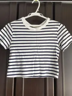 ストライプ クロップドTシャツ 半袖