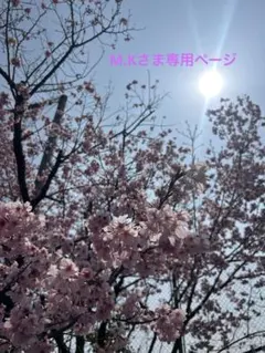 M.Kさま　専用ページ