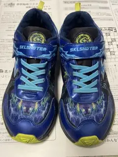 Item thumbnail for item 77fa9fb5-2324-4f9e-8f2f-e9e4360bb18c