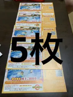 東京サマーランド 春秋限定 株主ご招待券5枚 1DAYパス 株式優待券 