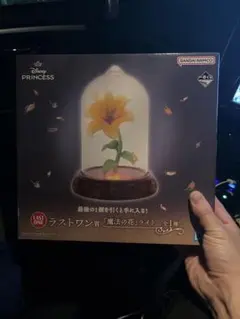 バンダイナムコ ラストワン賞 魔法の花パネル 2025年最新】魔法のランプ 一番くじの人気アイテム - メルカリ