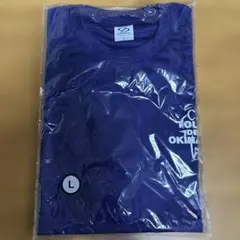 Item thumbnail for item 4e4dcf17-160f-46ce-b81b-4a25e971650b