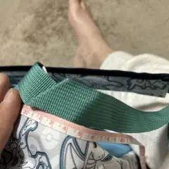 ポケットモンスタープラチナザッカスエアリュック