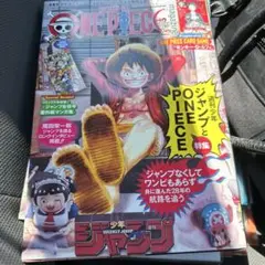 【ONE PIECE】ワンピースマガジン 20号 プロモ付き 新品未使用