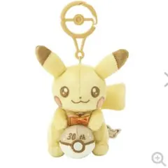 ポケモン　30周年記念マスコット ピカピカ！ピカチュウ