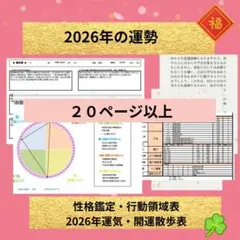 専用　2名様分＋ご質問1件分