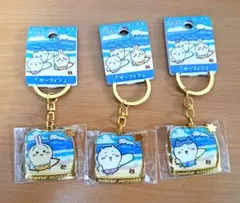 【モカ様専用】ちいかわ ご当地キーホルダー 宮崎 九州 サーフィン