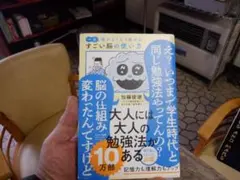 すごい脳の使い方 加藤俊徳