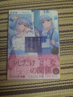 孤高なカノジョと、彼女の部屋でシてること　ライトノベル　ラノベ