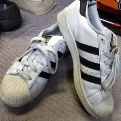 adidas スーパースター　24.5cm