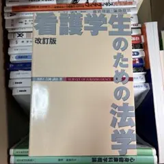 Item thumbnail for item cf55e989-8ea4-4b79-9581-b0f26e9469a1