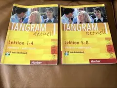 Item thumbnail for item 1f1ea9d0-3a33-4c91-a00b-fbaef3a6a9ca