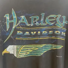 ハーレーダビッドソン　HARLEYDAVIDSON 激レア　ヴィンテージTシャツ