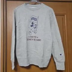 Item thumbnail for item d2d2b4a3-3b89-4165-92b5-78c4e10de842