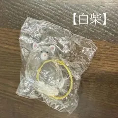 うちの子のけだまだま　犬バージョン　白柴