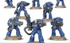 ウォーハンマー 40k スペースマリーン ダークエンジェル・ダイス