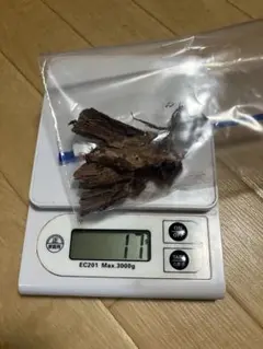 【染料】mimosa hostilis root bark10g 【サンプル用】