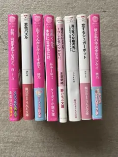 ⭐️23:59まで888円‼️⭐️恋愛小説 8冊セット野いちご　ケータイ小説