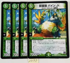 パインJr. 4枚