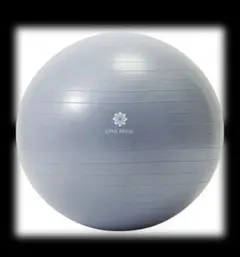 Lino Mirai インディゴブルーバランスボール65cm　中古品