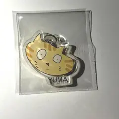 BUDDiiS YUMA ランダムチャームアクキー