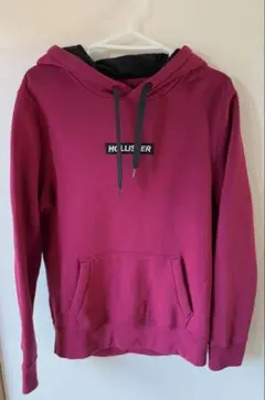 HOLLISTER ホリスター パーカー トレーナー レディース S