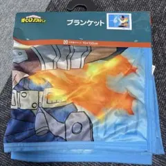 僕のヒーローアカデミア ブランケット 轟焦凍
