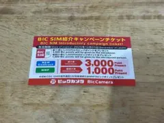 BIC SIM ポイント増額 チケット