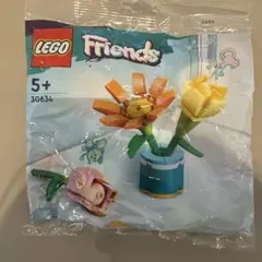 LEGO Friends 30634 花のブロックセット