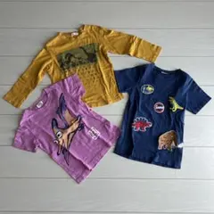 恐竜デザインTシャツ3枚セット【サイズ110,120】